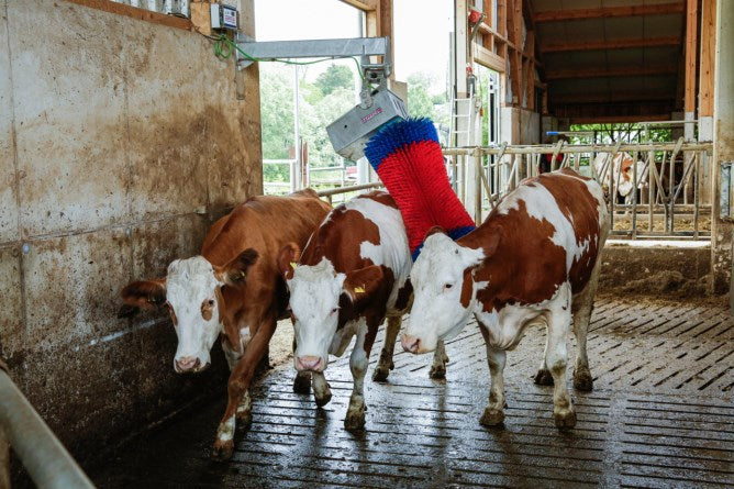 Spazzola per mucche Happycow maxiwing