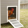 Producten kippenhok eco stal kunststof barney