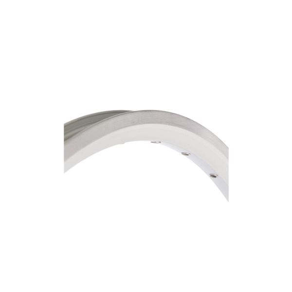 RIM Primax E STR19 26 559 X 19C - 36 buchi - Spaak 14 Valvola francese - argento con bordo freno