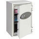 Cassaforte dati Phoenix Data Combi DS2502K bianca