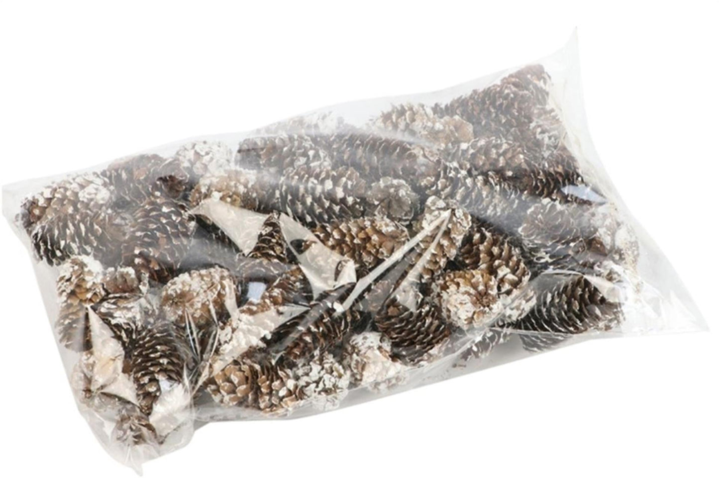 HBx set decorazione naturale vivente pigna mini 180gr