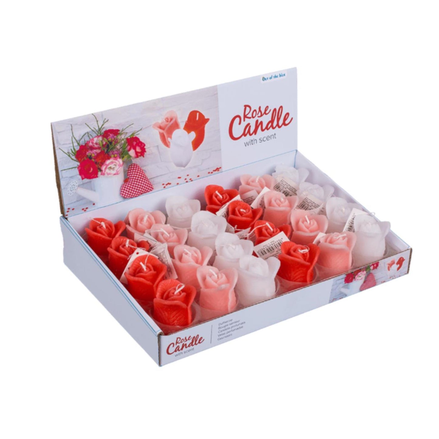Candela Ootb rosa 6x4 cm