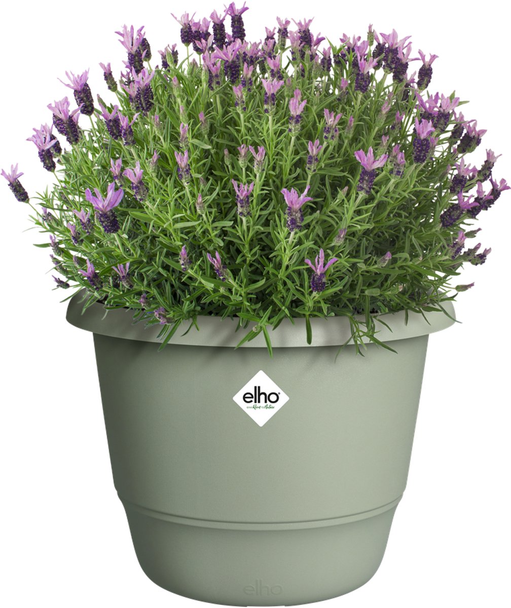 Elho amiga round 40 - macetero para interior exterior - plástico 100% reciclado - ø 39,0 x h 29,3 cm - verde tomillo