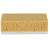 Lifetime Clean Sponge Jumbo 2 in 1