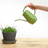Esschert Design all'interno di toni vegetali Gieter Assorti