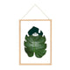Frame di design Esschert per fiori secchi XL 42 x 29,8 cm