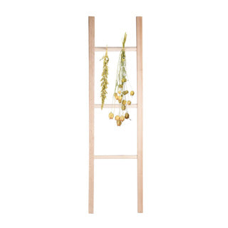 Flores y hierbas escalera seca