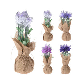 Pianta di lavanda nella borsa a iuta