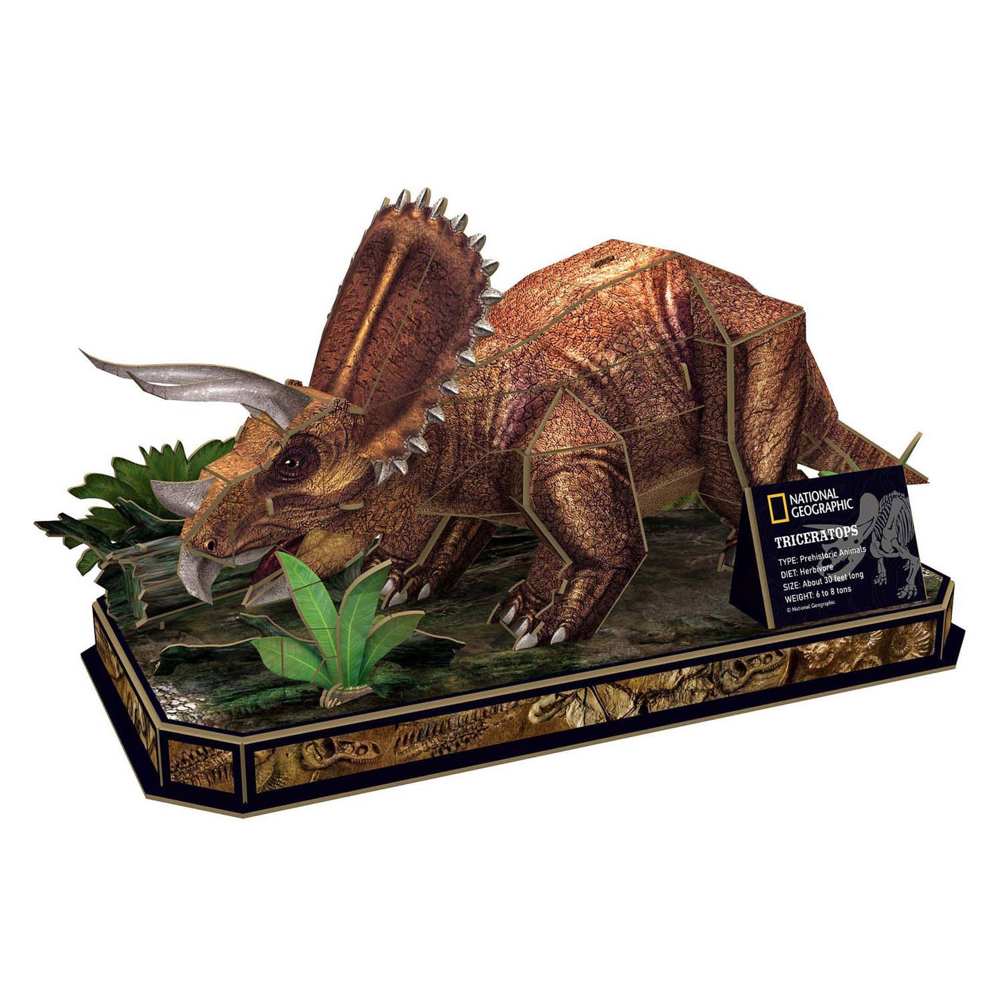 Cubic fun 3d puzzel national geographic triceratops