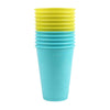 Outdoor play jumbo pong