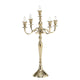 Candeliere domestico Boltze oro 37x63 cm