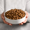 Smolke Dog Grain per adulti senza