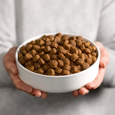Smolke Dog Grain per adulti senza