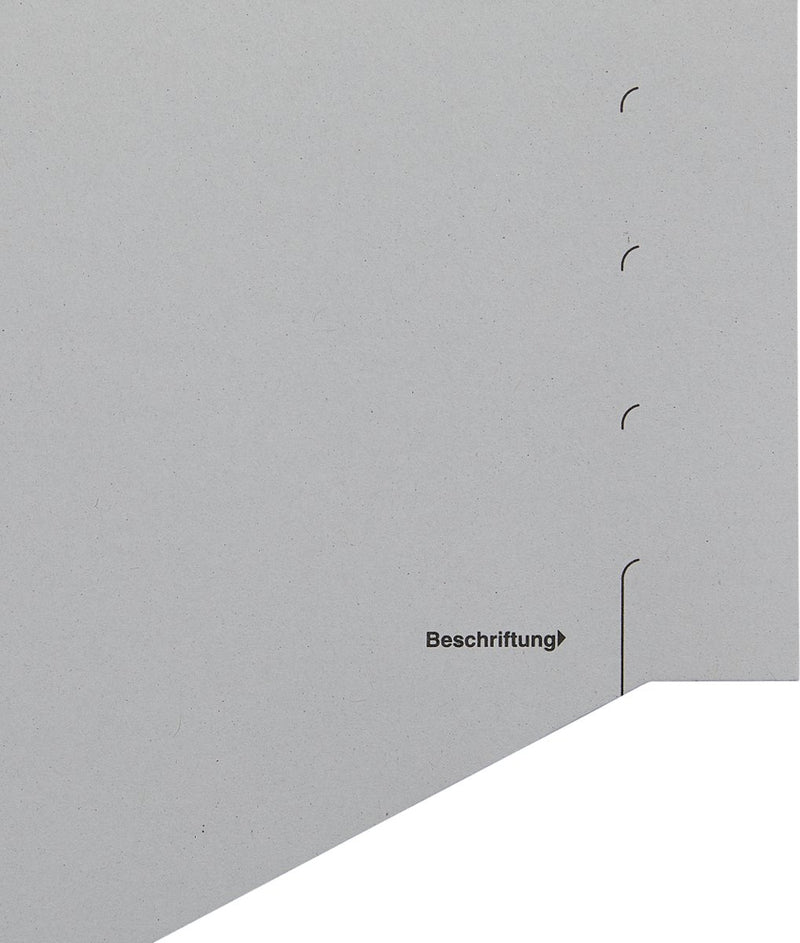 Leitz scheidingstabblad karton 100 stuks a4 11-rings grijs