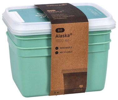 DBP DBP Alaska Scatole congelate Rectangular 1L 3 pezzi Mint Green