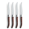 Coltelli da bistecca di Amefa 4 -pezzo