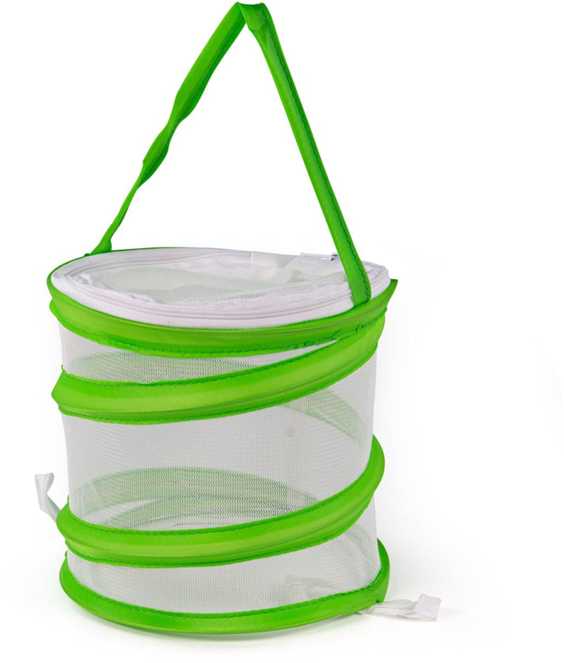 Insectnet emergente de BigJigs