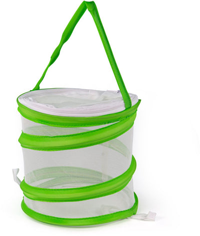 Insectnet emergente de BigJigs