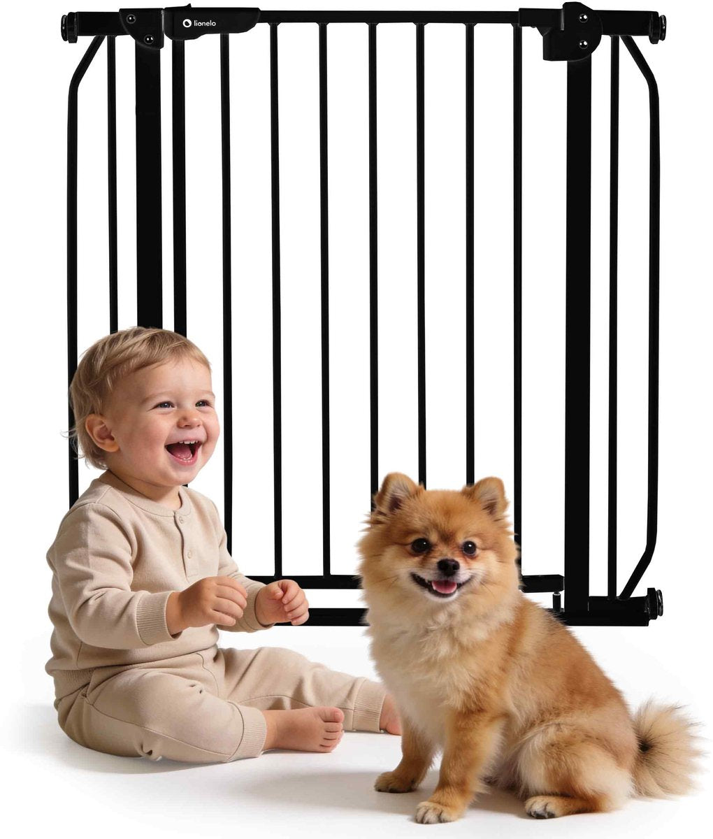 Cancelletto di sicurezza Lionelo - da 75 a 105 cm per scale e porte - soglia bassa - chiusura automatica - apertura su due lati - cancelletto per cani - cancelletto per scale - cancelletto di sicurezza - cancelletto per bambini