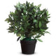Planta artificial paperflow le laurel 50 cm