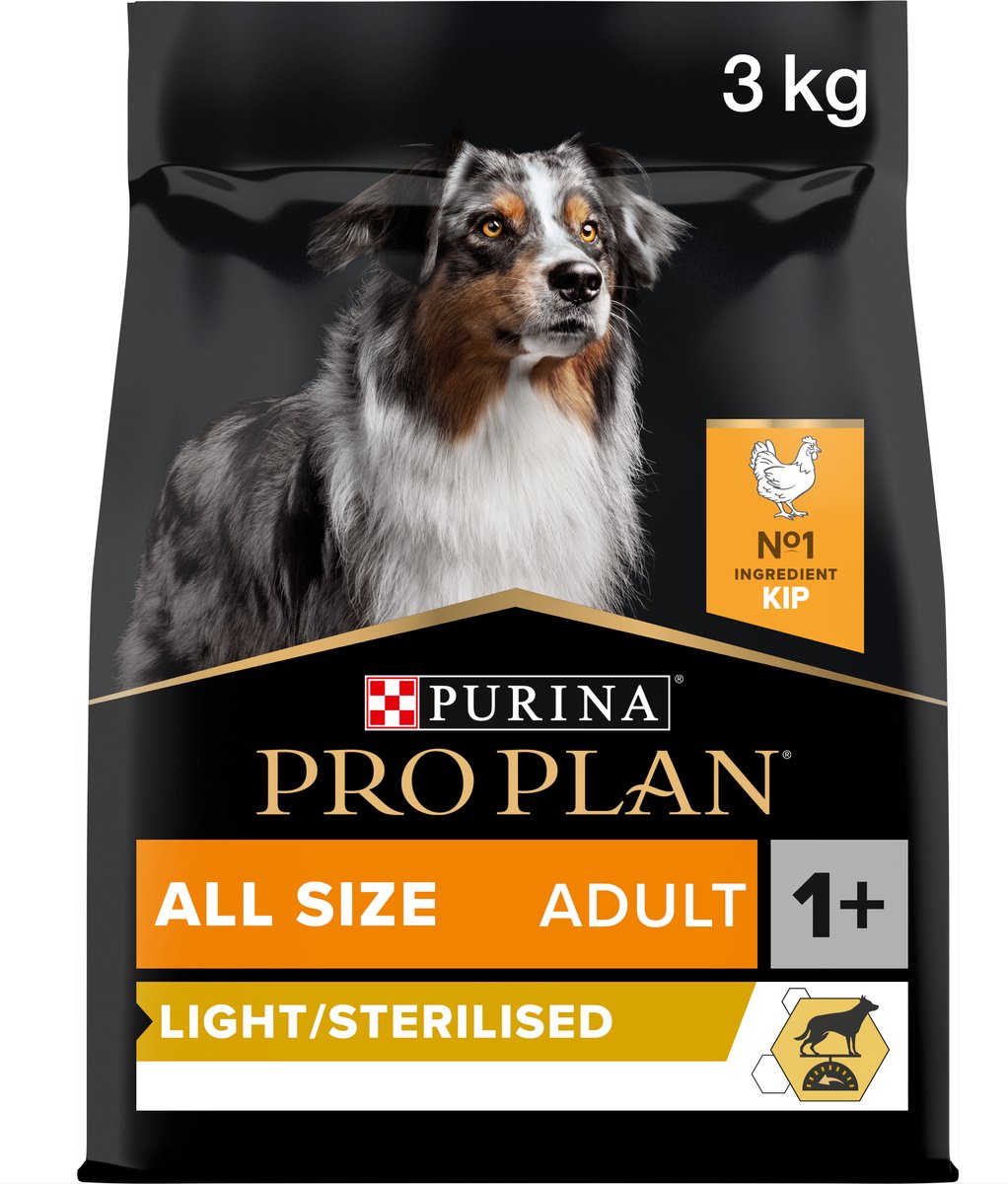 plan profesional