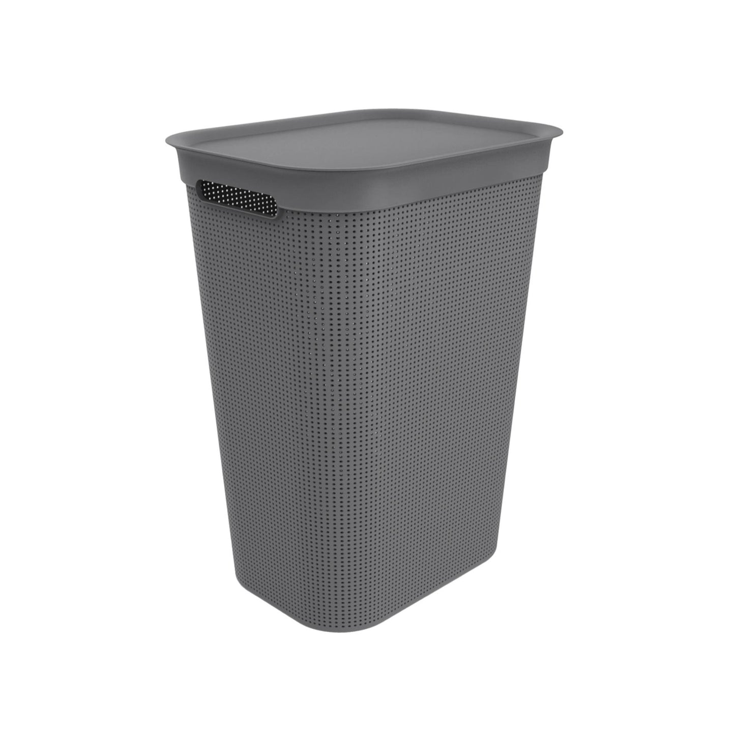 Rotho Fabis collector Brisen 50L Anthracite