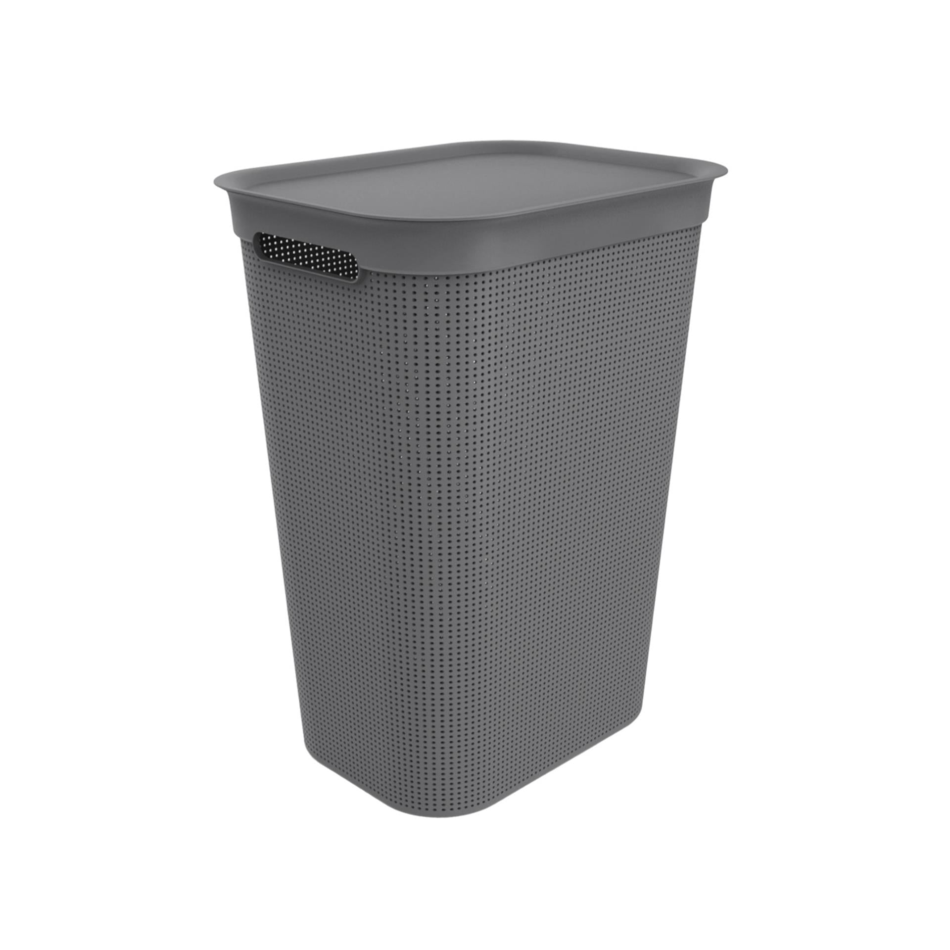 Rotho Fabis collector Brisen 50L Anthracite