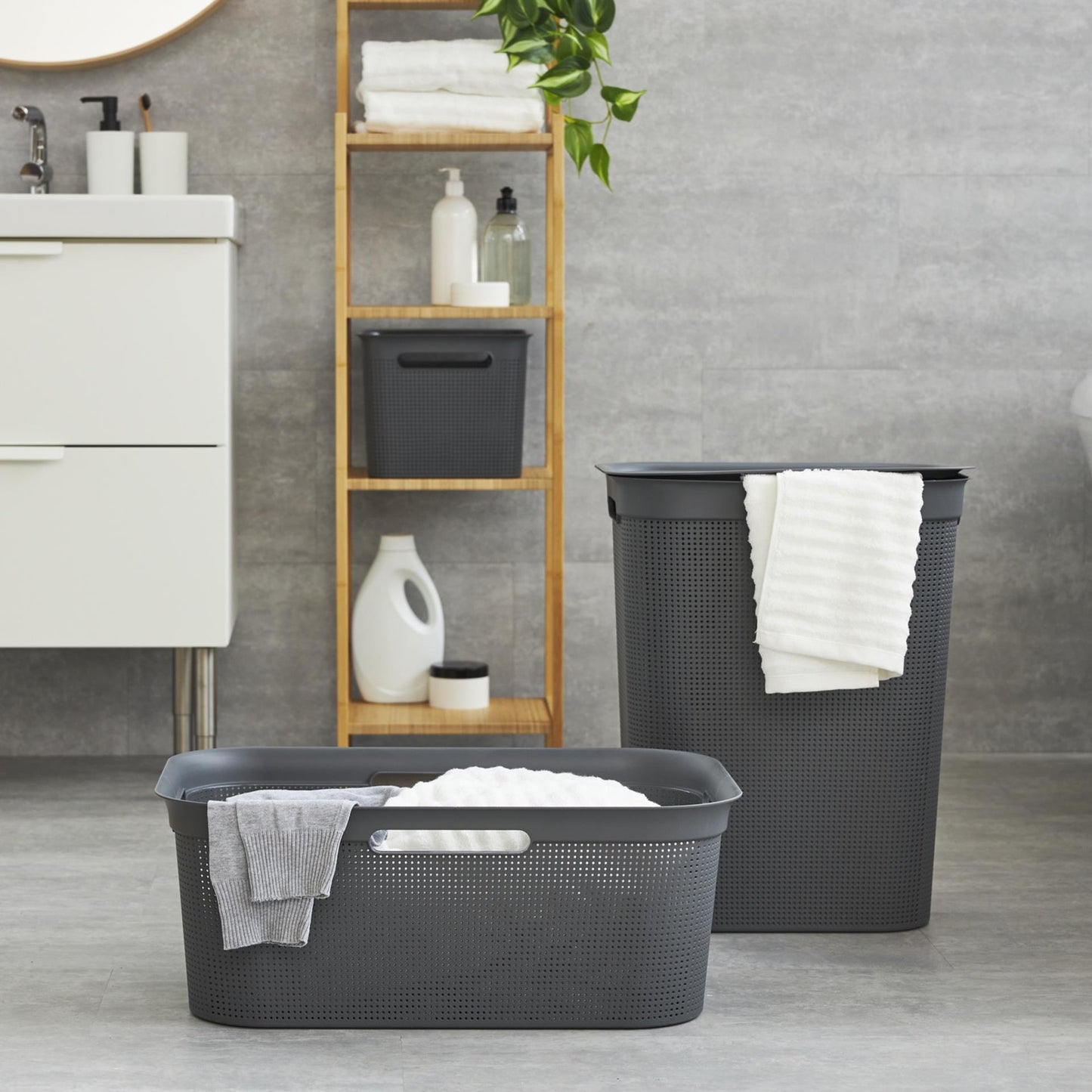 Rotho Fabis collector Brisen 50L Anthracite