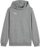 Puma teamgoal casuals hoody jr jongens sporttrui - medium gray heather- white