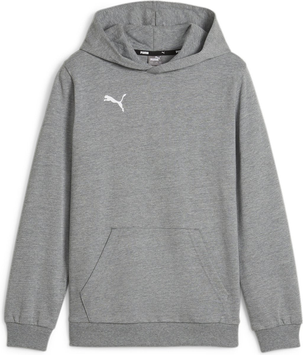Puma teamgoal casuals hoody jr jongens sporttrui - medium gray heather- white