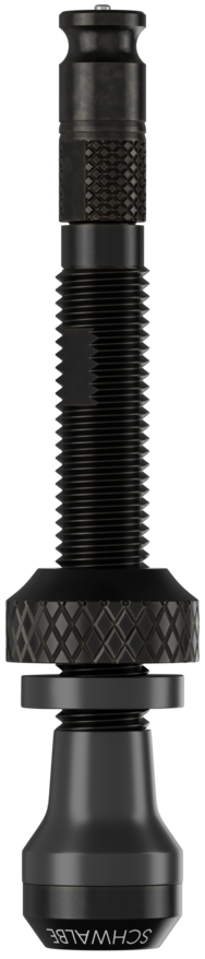 Schwalbe Ventile haga clic en 80 mm sin tubeless (2st)