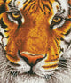 Diamond dotz® diamond dotz bengal magic - diamond painting - 18,250 dotz - 42x36 cm