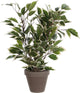 Mica decorations kunstplant ficus - 40 cm - groene kamerplant