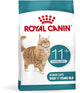 canino real