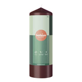 Bolsius essentials stompkaars 200 68 velvet red - afbeelding 1