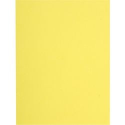 Carpeta archivadora exacompta 160005e A4 cartón reciclado
