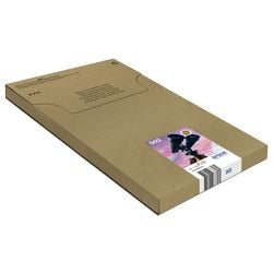 cartucho de tinta epson v64510