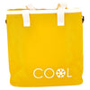 Koeltas 18 liter 29x31x21 cm 4 assorti