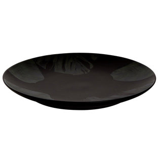 Placa de palmer aurora 27 cm jungla