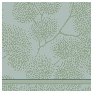 Alberi da cuoio da tè DDDDD 60x65 verde