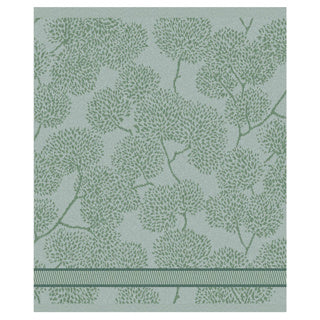 Toallas de cocina DDDDD 50x55 verde