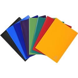 Showalbums 8550e kleurenassortiment 50 hoezen