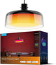 Govee slimme hanglamp matter rgbicww - 3 lichtzones