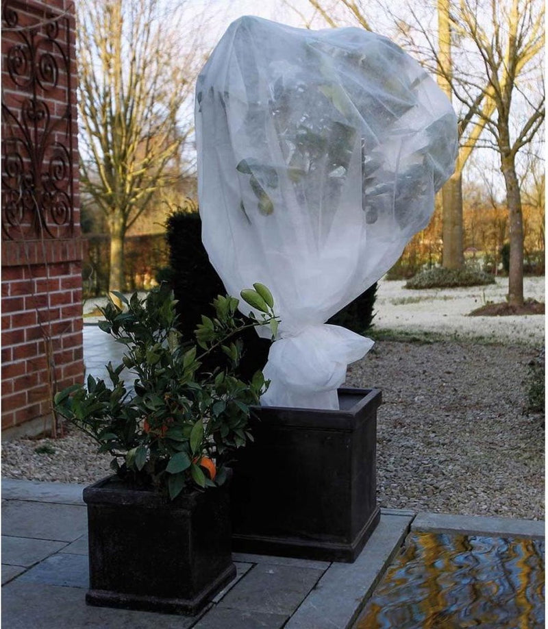 Nature Nature Winter Cover 30 g m² 2x10 m bianco