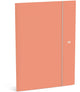 Carpeta elasto Qc color - naranja neón