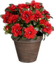 Mica decorations kunstplant - azalea - rood - in pot - 31 cm - nepplanten