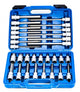 Asta satra hex socket set - 30 pieces - 1 2 inch connection - satra