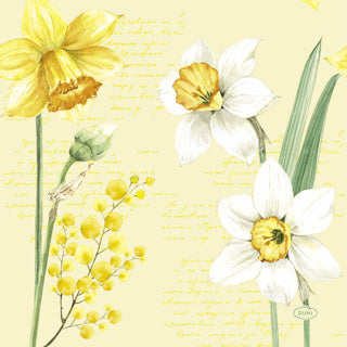 Tovaglioli Duni Primavera Narciso 20 pezzi 33 x 33 cm | 12 pezzi