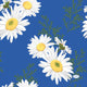 Tovaglioli daisy blu 33x33 cm