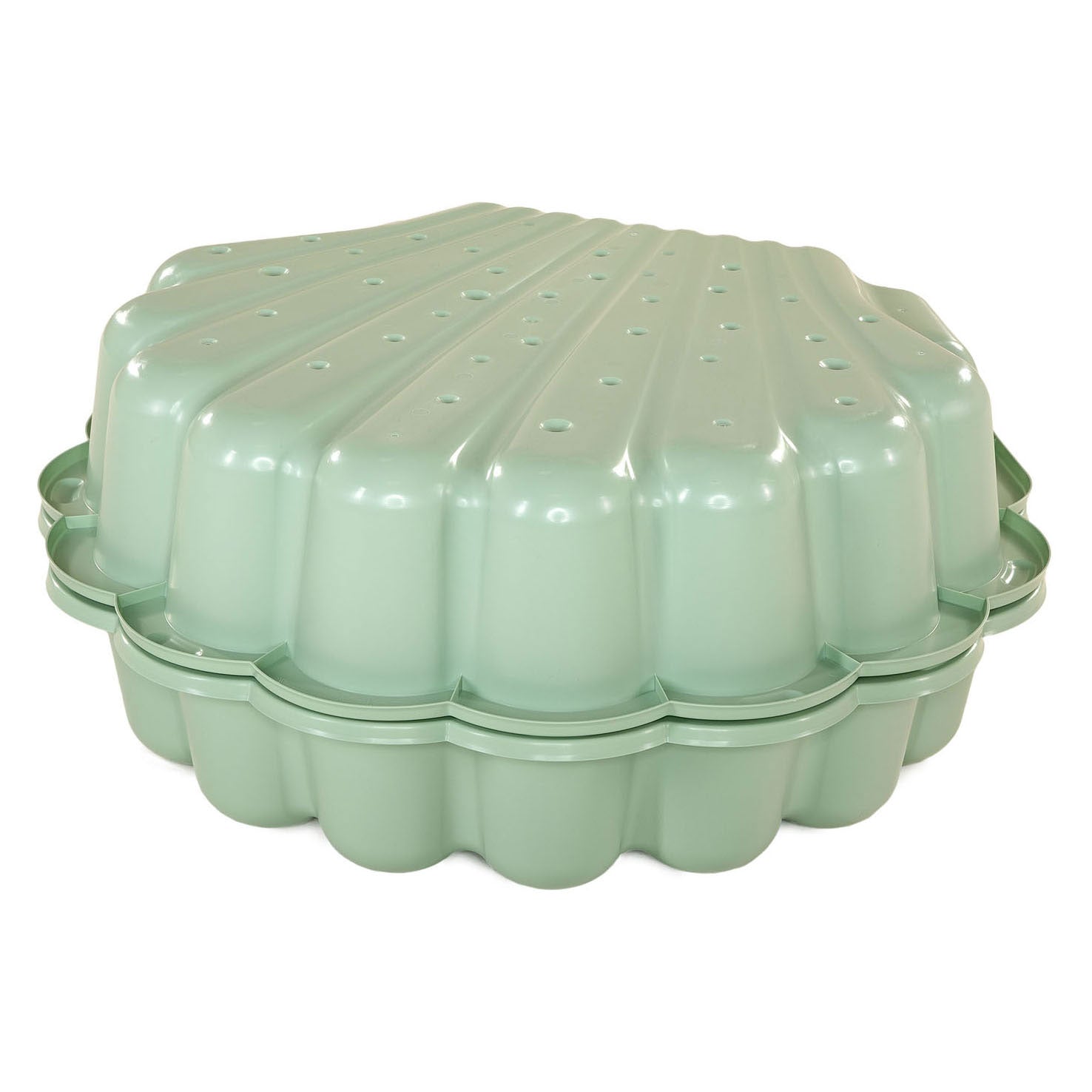 Conchiglia verde acqua e sabbia pastello - 2 pz.